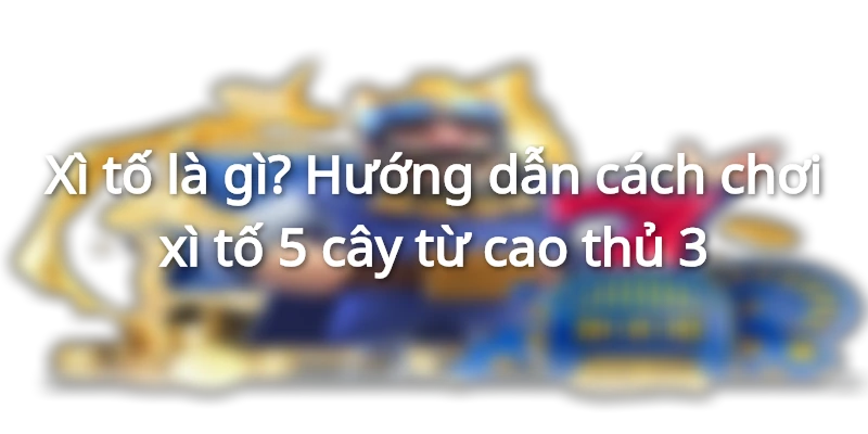 xi-to-la-gi-huong-dan-choi-xi-to-5-cay