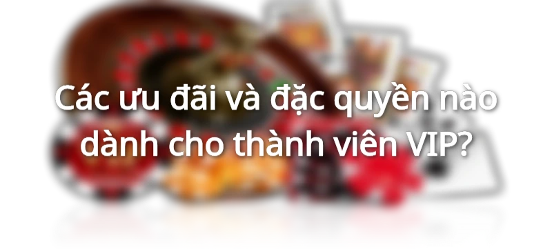 Các ưu đãi và đặc quyền dành cho thành viên VIP