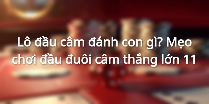 kinh-nghiem-choi-dua-vao-cac-dau-duoi-cam-khong-ve