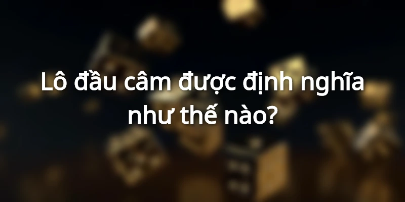 lo-dau-cam-danh-con-gi-va-duoc-dinh-nghia-nhu-the-nao