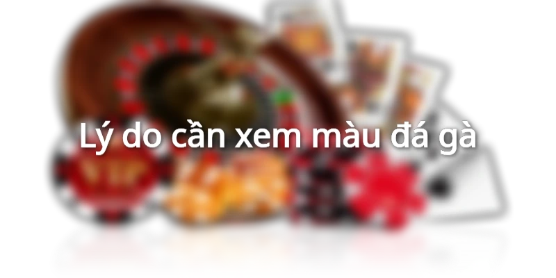 ly-do-can-xem-mau-da-ga-tien-lon