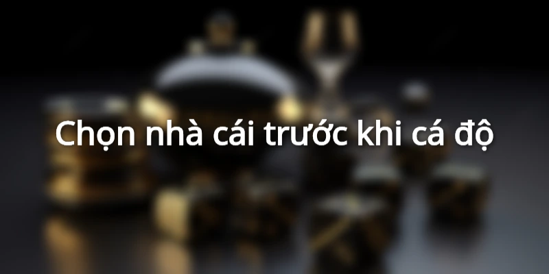 hay-nho-lua-chon-nha-cai-uy-tin-truoc-khi-ca-do