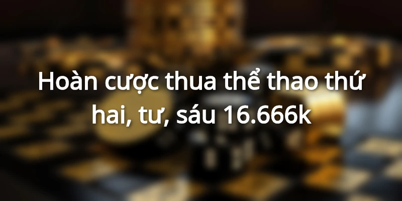 hoan-tien-cuoc-thua-the-thao-thu-hai-tu-sau-1666k